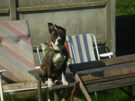 Nesbi la ouf !!!!!!!!!!!